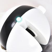 Soft Motion Cat Toy