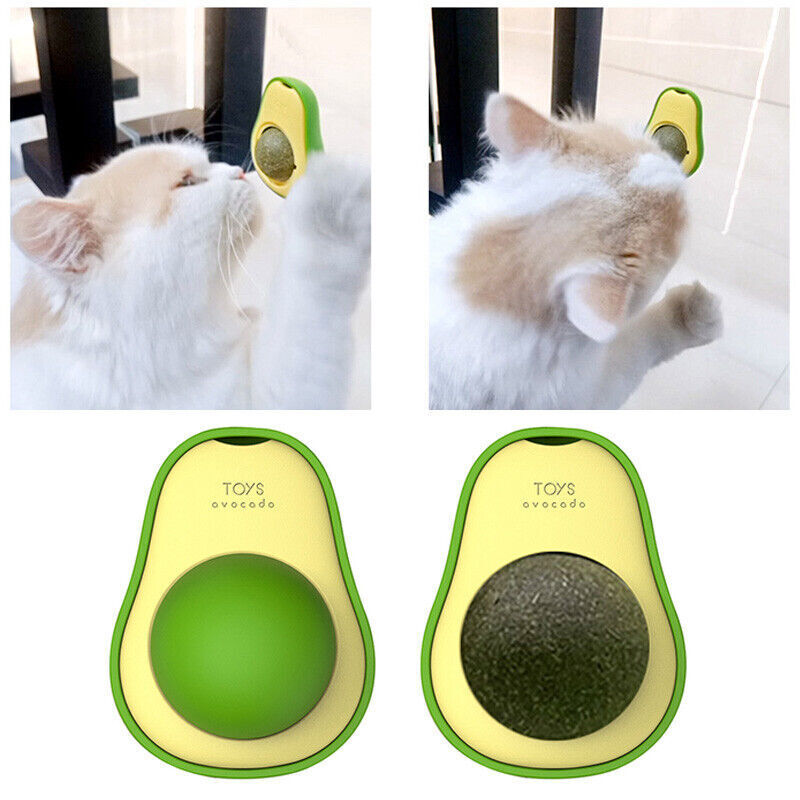 Cute Avocado Cat Toy