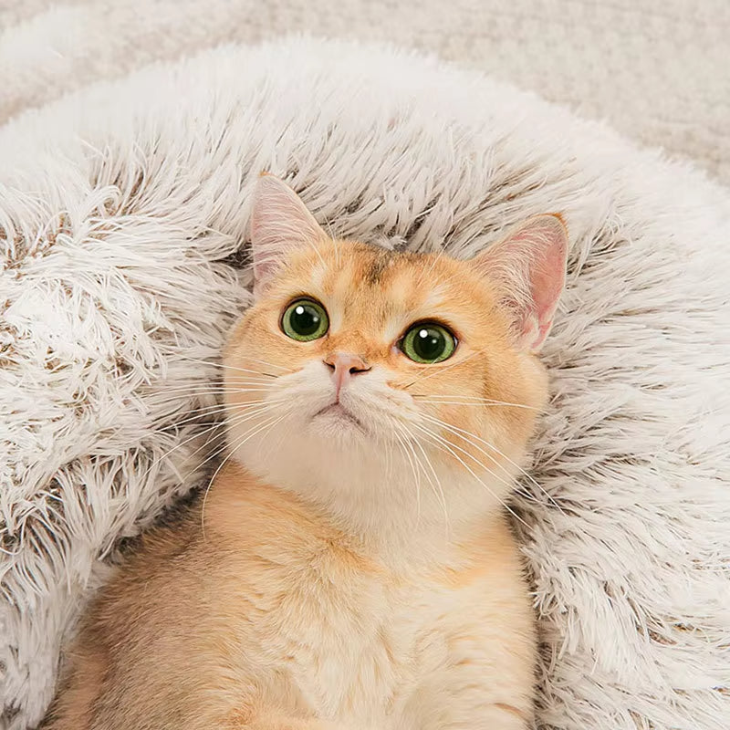 Soft Plush Cat Bed