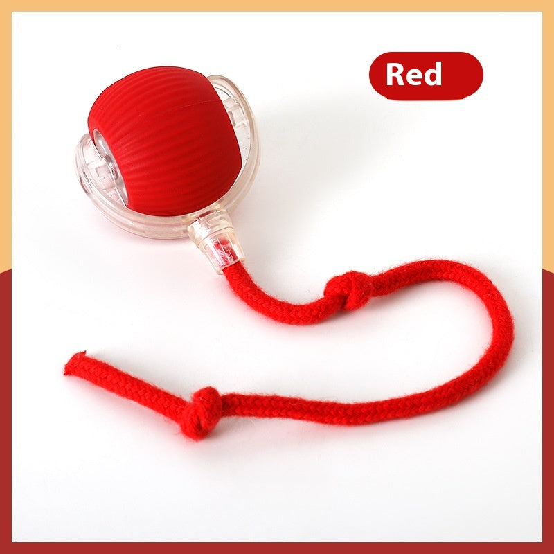 SuperDrive Rolling Ball – Interactive Cat Toy