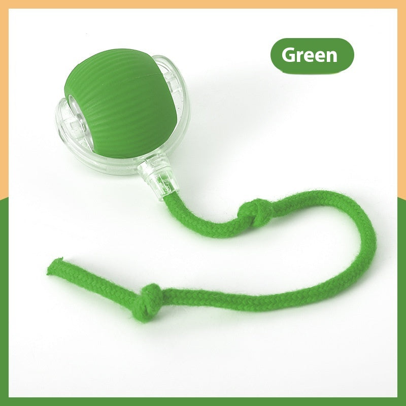 SuperDrive Rolling Ball – Interactive Cat Toy