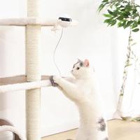Soft Motion Cat Toy