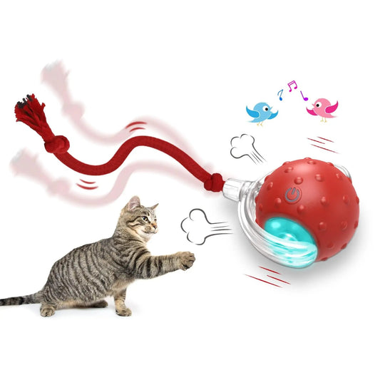 SuperDrive Rolling Ball – Interactive Cat Toy