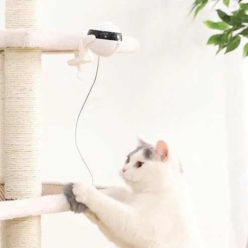 Soft Motion Cat Toy