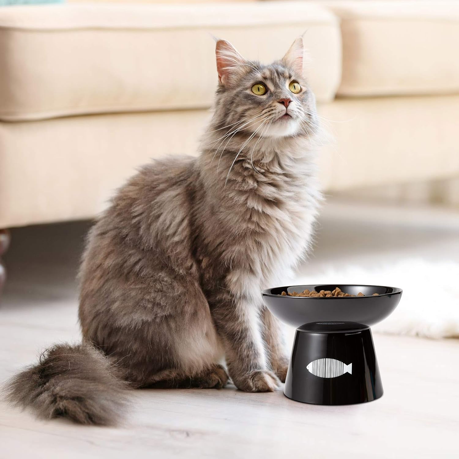 Cat Raised Food/Water Bowl for Elder Big Cats, Non-Skid 4.8X6.4In Premium Ceramic Cat Bowls with Stand, Sturdy and Anti-Fall… (Black)