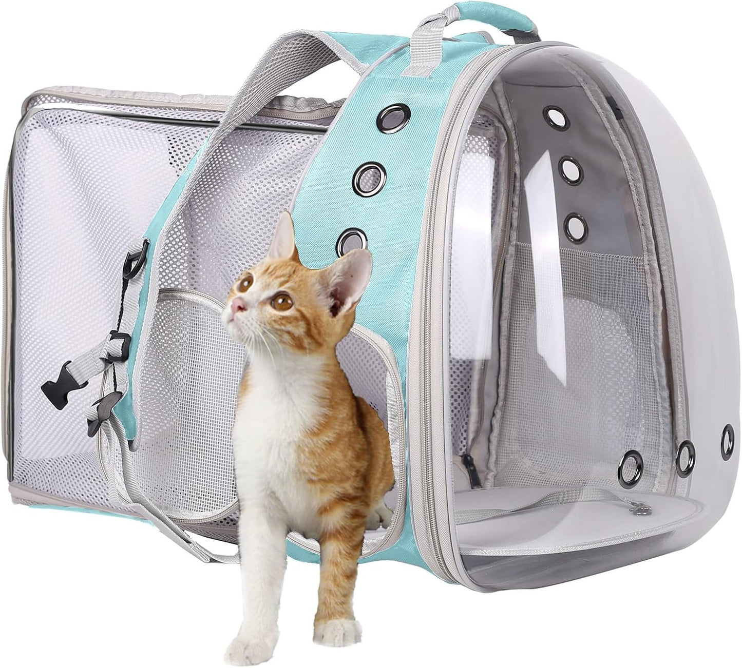 Cat Travel Backpack with Fan, Fit up to 12 Lbs, Space Capsule Astronaut Clear Bubble Window Pet Backpack for Kitten and Small Puppy Green