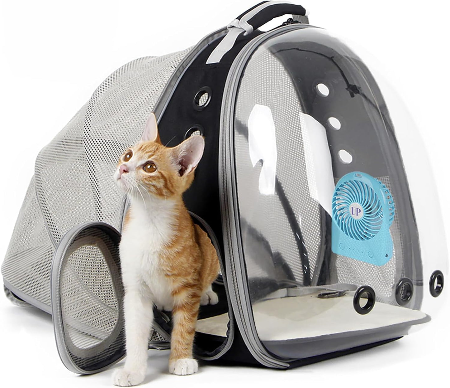 Cat Travel Backpack with Fan, Fit up to 12 Lbs, Space Capsule Astronaut Clear Bubble Window Pet Backpack for Kitten and Small Puppy Green