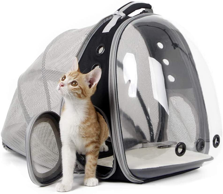 Cat Travel Backpack with Fan, Fit up to 12 Lbs, Space Capsule Astronaut Clear Bubble Window Pet Backpack for Kitten and Small Puppy Green